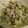 makichaki's cooksnap of when they made 即席！ちくわときゅうりの青のり和え.