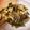 作って食べてハッピー's cooksnap of when they made 蕨の煮物（アク取り）.