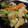 寺あゆ's cooksnap of when they made 豚こまと小松菜の中華風あんかけ丼.
