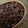 クックTHM5YF☆'s cooksnap of when they made お弁当用のごはんの詰め方・冷まし方.
