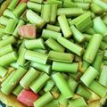 x_x's cooksnap of when they made ルバーブのクランブルケーキ/ドイツ菓子.