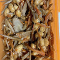 ☆SKRSK☆'s cooksnap of when they made 作り置きおかず☆ごぼうと大豆のきんぴら.