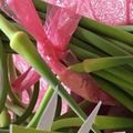 みっきい☆☆'s cooksnap of when they made ニンニクの芽 下処理 保存方法.
