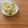 Etsu☆ko's cooksnap of when they made ハムとチーズのサラダ風生春巻き.
