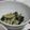 fu♪♪'s cooksnap of when they made 簡単！美味♪きゅうりとわかめの生姜酢和え.