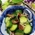 みっちゃん❇️68's cooksnap of when they made 胡瓜と干し椎茸の中華炒め漬け.