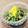Dellaたん's cooksnap of when they made ちゃっちゃとゴマ和え！@インゲン.
