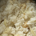 agoagoago's cooksnap of when they made 新生姜の炊き込みご飯.