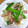 クックJOEさん's cooksnap of when they made 豚肉と新玉と絹さやの中華風炒め♡.