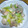 クックJOEさん's cooksnap of when they made 長ネギ大量消費&安上がり！鳥ネギ塩焼き♪.