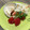 みりん調味料's cooksnap of when they made 簡単！大根の浅漬け風.