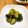 Ｅｍｉｙ's cooksnap of when they made 時短☆簡単！胡瓜の梅和え.