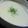 みいじぇんぬ's cooksnap of when they made ビシソワーズ(ジャガイモのポタージュ).