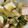 フレンチブルブル's cooksnap of when they made 青梗菜と厚揚げのさっと煮.