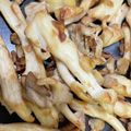mcapちゅん's cooksnap of when they made たもぎ茸のシンプル炒め.