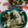赤い電話's cooksnap of when they made 新玉ねぎとワカメの簡単さっぱり和え.