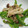 クック6DDPP8☆'s cooksnap of when they made お弁当に！ピーマンとしめじのおかか炒め.