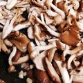 なんだッッ's cooksnap of when they made 簡単おつまみ☆きのこのペペロンチーノ.