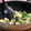 抹茶ソーダ's cooksnap of when they made 木綿豆腐と春菊の炒め煮.