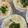 sakuraiayu's cooksnap of when they made かつおの酒盗でミニピザ風おつまみ.
