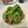 クックMEV2SX☆'s cooksnap of when they made 自家製バジルのパスタ.