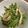 クックHEGPD8☆'s cooksnap of when they made 水ぶきと薄揚げの炒め煮【ＪＡ福井県】.