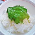 茶太郎ラッシュ･ω･'s cooksnap of when they made 簡単激ウマ☆ご飯のおともに大葉の醤油漬け.