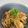 bunbunsaku's cooksnap of when they made 簡単！鳥もも肉のオニオンきのこソース煮.