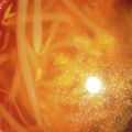 とろけい's cooksnap of when they made もやしスープ.