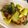 クック88L32D☆'s cooksnap of when they made 青梗菜となすのコチュジャン炒め.
