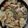 クック15IKX4☆'s cooksnap of when they made 鶏モモとゴボウの味噌炊き込みご飯.