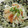 クック6DDPP8☆'s cooksnap of when they made ✿レンジで簡単✿えのきのさっぱり梅和え♡.