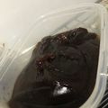 ユカtoマオマオ's cooksnap of when they made 片栗粉で✿和菓子屋さんの本格わらび餅風❤.