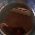 クックTHM5YF☆'s cooksnap of when they made 冷たいほうじ茶.