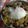 モシモシmama's cooksnap of when they made うちの牛丼.