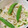 canadawhistler's cooksnap of when they made 牡蠣だし醤油をかけるだけ簡単冷やしうどん.