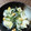 リンリン☆☆☆'s cooksnap of when they made ☆きゅうりとゆで卵のマヨ和え♪.
