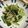 ＊＊めろん＊＊'s cooksnap of when they made もやしとチンゲン菜のシャキシャキ炒め.