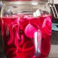 gbnra4969's cooksnap of when they made 常備したい❤ビーツと玉ねぎの甘酢漬け.