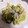 にゃんぶーー's cooksnap of when they made 【農家のレシピ】白菜のおかか和え.