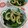 赤い電話's cooksnap of when they made 簡単!ちくわとほうれん草のカレー粉炒め.