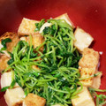 サクラと小太郎's cooksnap of when they made 厚揚げと豆苗のさっぱりサラダ.