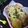 haruku221's cooksnap of when they made しらすと塩昆布のペペロン風焼うどん.