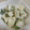 papikun's cooksnap of when they made はんぺんと三つ葉のわさび味噌マヨ☆.
