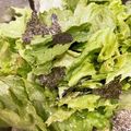 なーなちゃん's cooksnap of when they made レタスと海苔のナムルサラダ.