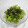 ＠迷子＠'s cooksnap of when they made わさび菜の和風サラダ.