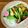 マルんちの丸顔's cooksnap of when they made わっぱ弁当＊バジル風味のささみピカタ.