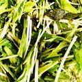 nao3gon3's cooksnap of when they made 簡単！水菜がモリモリ食べられるサラダ♡.