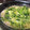 クック6QYWQB☆'s cooksnap of when they made 豆苗の卵とじうどん.