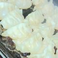 xxxmiyuxxx's cooksnap of when they made ＊簡単美味しい♡羽根つき手作り餃子＊.